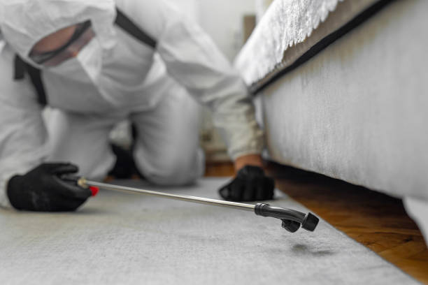 Professional Termite Control technician working in Geauga County County, OH